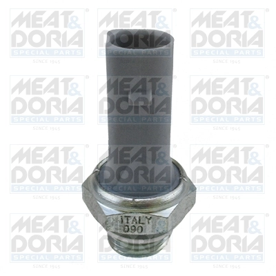 Oil Pressure Switch